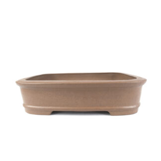 Rectangular Zenigo Bonsai Pot with Rounded Corners