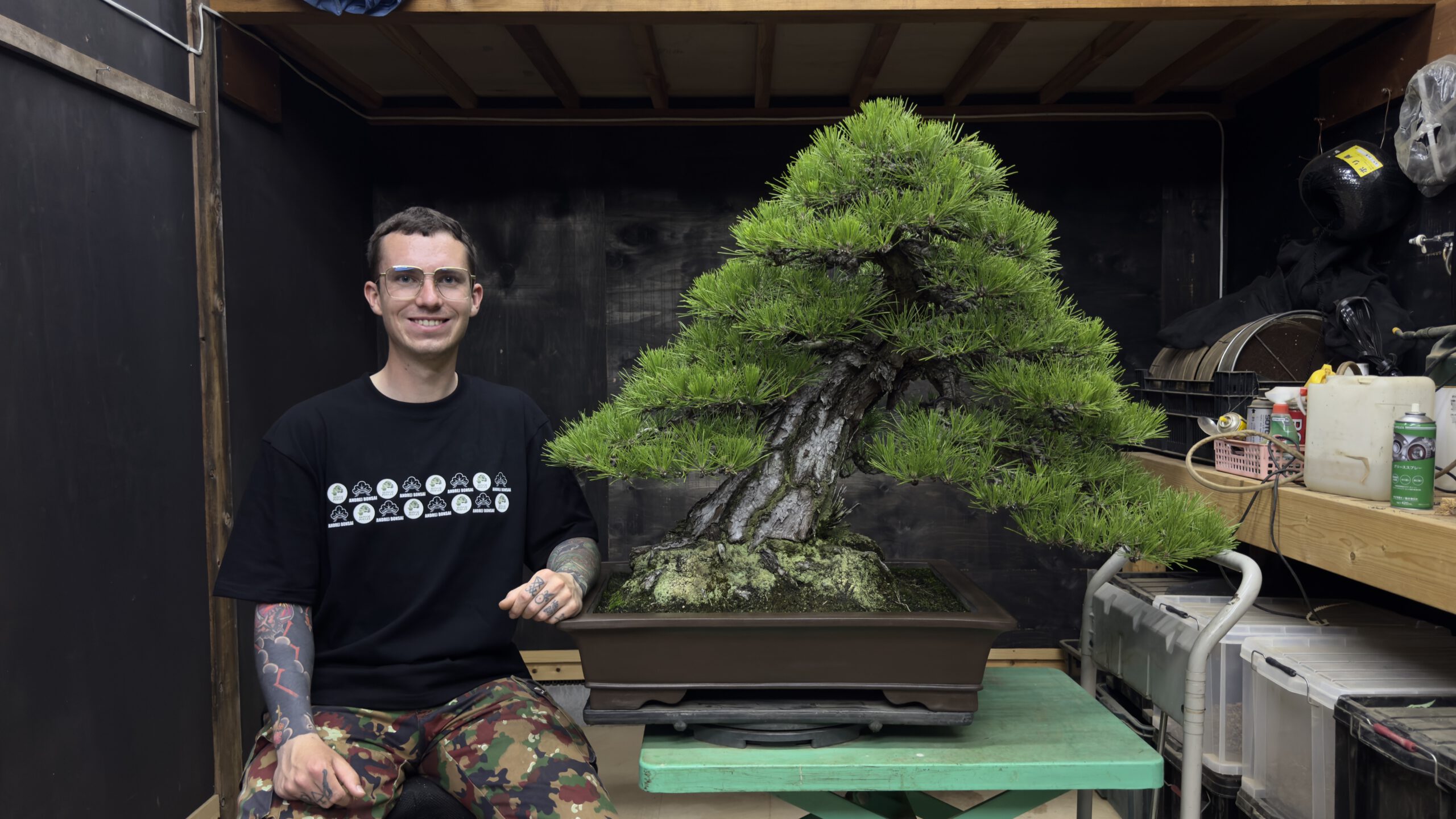 Andrej Bonsai with Pine